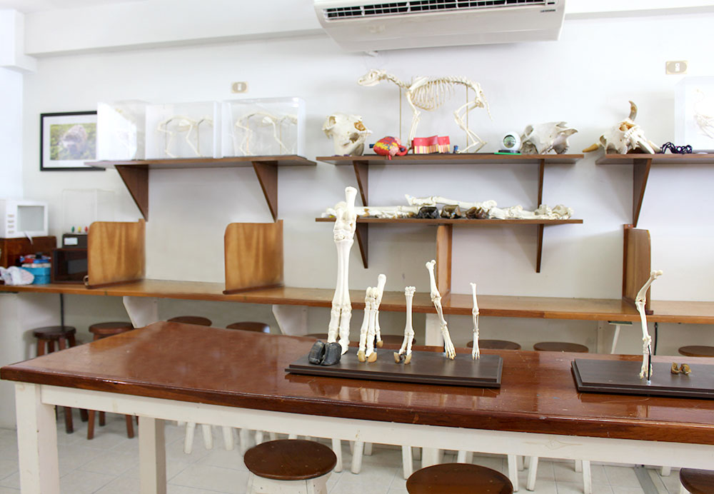 Laboratorio de Médico Veterinario Zootecnista