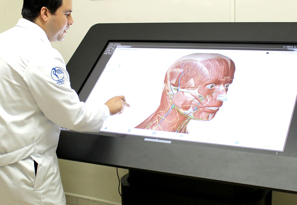 Área Virtual de Anatomía