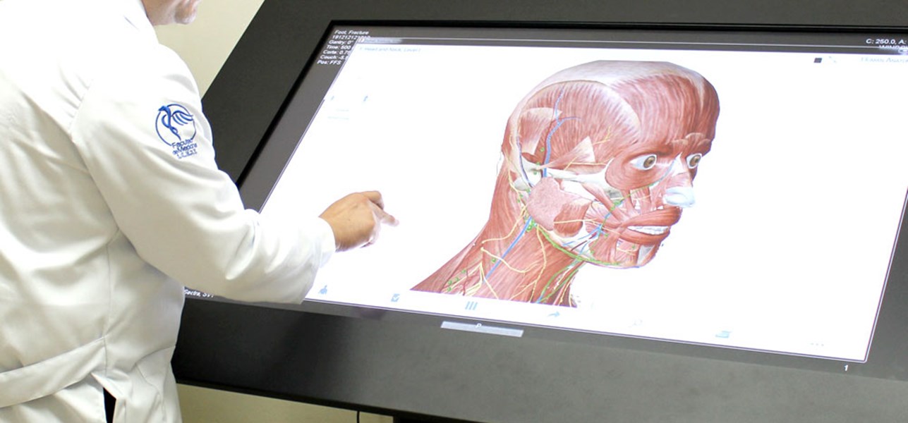 Área Virtual de Anatomía