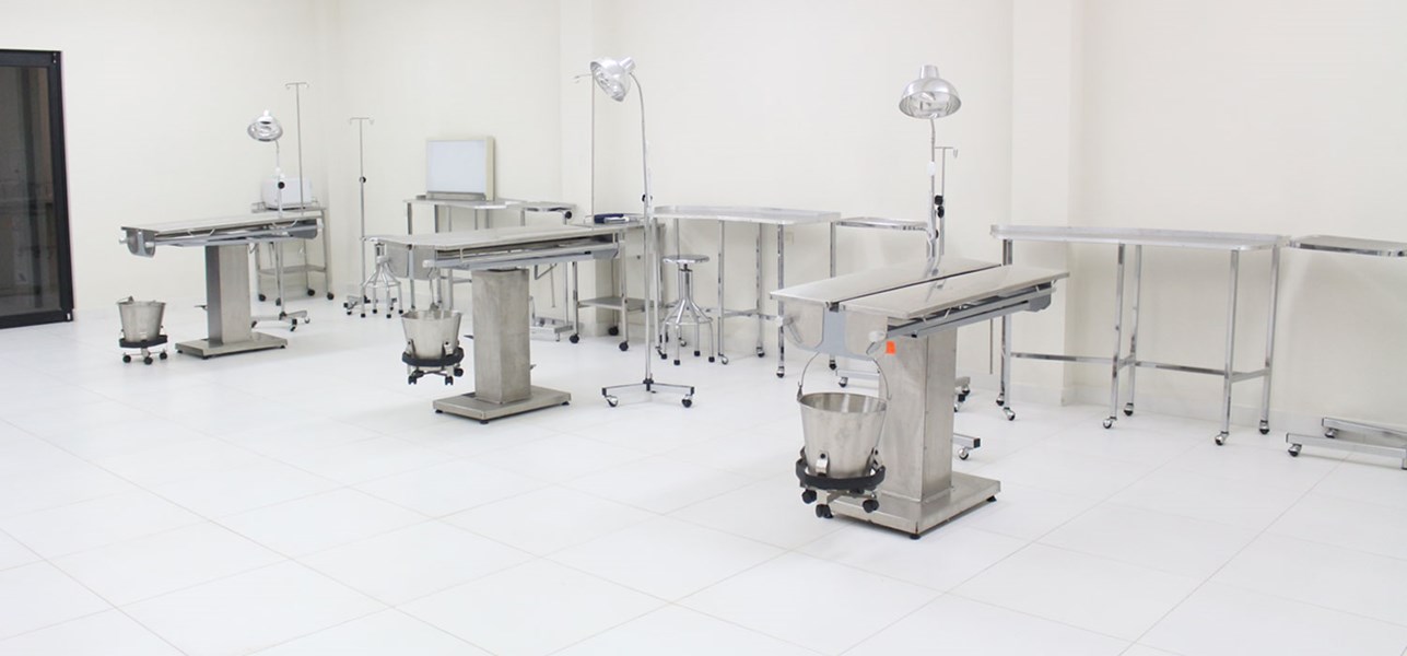 Laboratorio Médico Veterinario Zootecnista